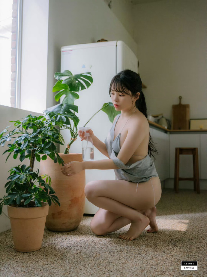 肖申克的救赎 封面