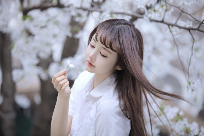绝命毒师 封面